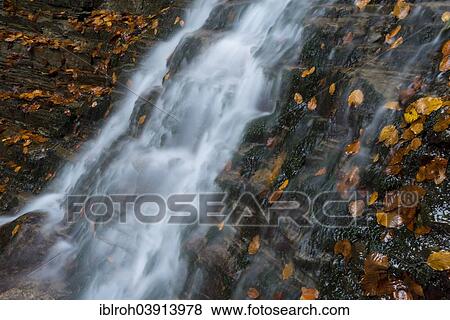 "The Taugl river in autumn, Hallein District, Salzburg, Austria, Europe" View Large Photo Image Stock Photo - "The Taugl river in autumn, Hallein District, Salzburg, Austria, Europe". Fotosearch