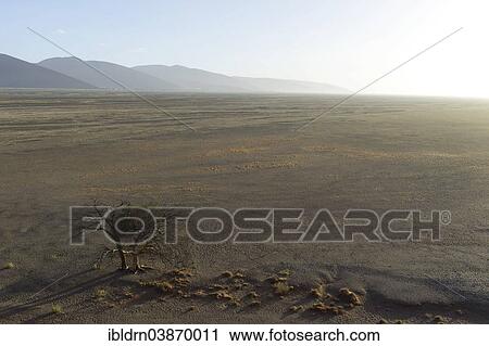 "The Tsauchab Valley, Sesriem, Hardap Region, Namibia, Africa" View Large Photo Image Stock Image - "The Tsauchab Valley, Sesriem, Hardap Region, Namibia, Africa". Fotosearch