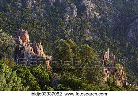 "The typical bizarre red rocks of the Calanche of Pianasurrounded by green scrub. The Calanche of Piana is in the western part of the island Corsica, France, Calanques de Piana, Piana, Corsica, France, Europe" View Large Photo Image Stock Image - "The typical bizarre red rocks of the Calanche of Pianasurrounded by green scrub. The Calanche of Piana is in the western part of the island Corsica, France, Calanques de Piana, Piana, Corsica, France, Europe". Fotosearch