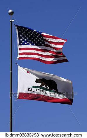 "The US-American flag and the Californian flag flying on a flagpole against a blue sky, California, United States, North America" View Large Photo Image Stock Photo - "The US-American flag and the Californian flag flying on a flagpole against a blue sky, California, United States, North America". Fotosearch