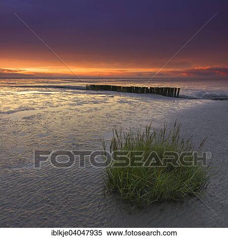 Stock Photography - "The Wadden and behind the remains of a jetty, Wremer deep, Wremen, Lower Saxony, Germany, Europe". Fotosearch