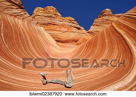 "The Wave, banded eroded Navajo sandstone rocks with Liesegang bands or Liesegang rings, North Coyote Buttes, CBN, Pareah Paria Canyon, Vermilion Cliffs National Monument, Arizona, Utah, Southwestern USA, USA" View Large Photo Image Stock Image - "The Wave, banded eroded Navajo sandstone rocks with Liesegang bands or Liesegang rings, North Coyote Buttes, CBN, Pareah Paria Canyon, Vermilion Cliffs National Monument, Arizona, Utah, Southwestern USA, USA". Fotosearch
