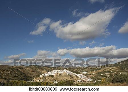 "The White Town of Torre Alhaquime, surrounded by olive groves, Cadiz province, Andalusia, Spain, Europe" View Large Photo Image Stock Photo - "The White Town of Torre Alhaquime, surrounded by olive groves, Cadiz province, Andalusia, Spain, Europe". Fotosearch