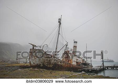 "The wreck of the Petrel, a former whaler, at the former Stromness whaling station, abandoned in 1965, King Edward Bay on the north-east coast of the now uninhabited island, South Georgia and the South Sandwich Islands, Antarctica" View Large Photo Image Stock Photo - "The wreck of the Petrel, a former whaler, at the former Stromness whaling station, abandoned in 1965, King Edward Bay on the north-east coast of the now uninhabited island, South Georgia and the South Sandwich Islands, Antarctica". Fotosearch