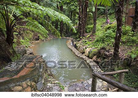 "Thermal basin, Caldeira Velha, Sao Miguel, Azores, Portugal, Europe" View Large Photo Image Stock Photo - "Thermal basin, Caldeira Velha, Sao Miguel, Azores, Portugal, Europe". Fotosearch
