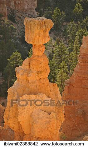 "Thor's Hammer rock formation at sunrise, Sunset Point, Bryce Canyon National Park, Sunset Point, Utah, United States of America, USA" View Large Photo Image Stock Image - "Thor's Hammer rock formation at sunrise, Sunset Point, Bryce Canyon National Park, Sunset Point, Utah, United States of America, USA". Fotosearch