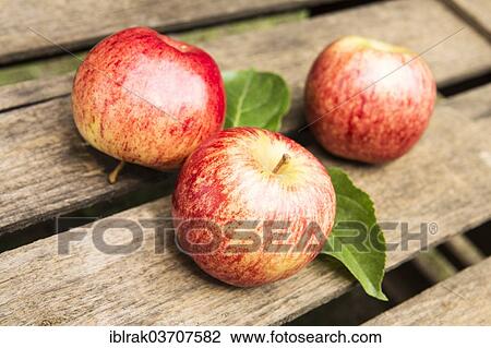 "Three apples on a fruit crate, Germany, Europe" View Large Photo Image Stock Image - "Three apples on a fruit crate, Germany, Europe". Fotosearch