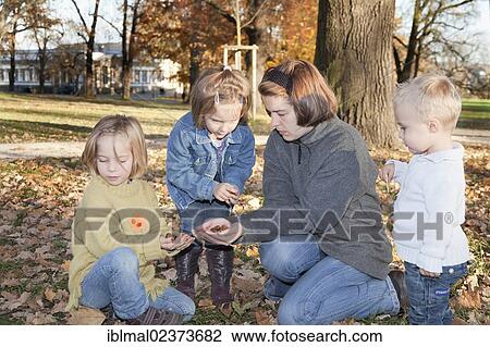 Three children and their mother collecting acorns in the park View Large Photo Image Stock Image - Three children and their mother collecting acorns in the park. Fotosearch