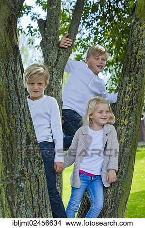Three children standing on a tree View Large Photo Image Picture - Three children standing on a tree. Fotosearch