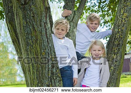 Three children standing on a tree View Large Photo Image Stock Image - Three children standing on a tree. Fotosearch