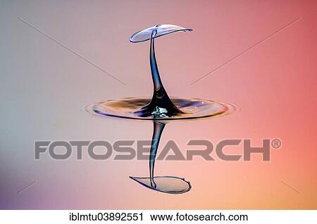 "Three drops collide, the first forms a column, the second produces the shield, followed by the third, digitally controlled with three valves" View Large Photo Image Stock Image - "Three drops collide, the first forms a column, the second produces the shield, followed by the third, digitally controlled with three valves". Fotosearch