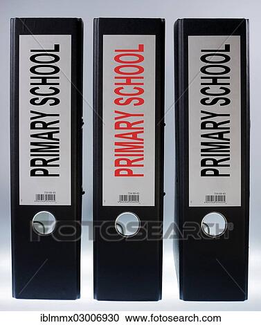"Three file folders labeled """"Primary School""""" View Large Photo Image Stock Image - "Three file folders labeled """"Primary School""""". Fotosearch