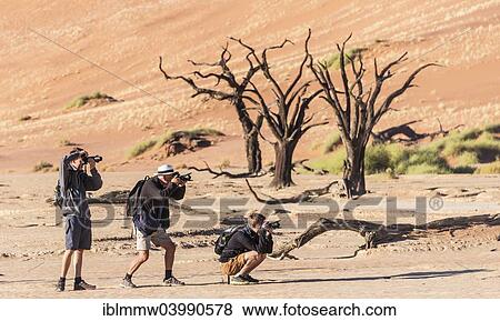 "Three hikers photographing a dead tree in the salt and clay pan, Deadvlei, Sossusvlei, Namib Desert, Hardap Region, Namibia, Africa" View Large Photo Image Stock Photo - "Three hikers photographing a dead tree in the salt and clay pan, Deadvlei, Sossusvlei, Namib Desert, Hardap Region, Namibia, Africa". Fotosearch