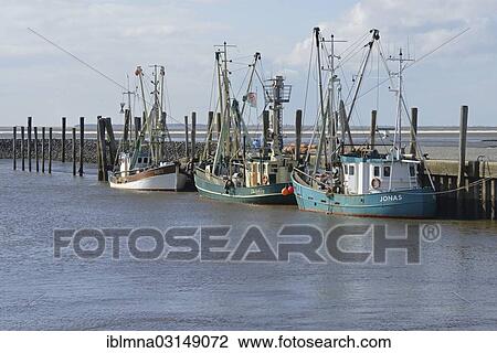 "Three small cutters in the harbour, Schluttsiel, North Frisia, Schleswig-Holstein, Germany, Europe" View Large Photo Image Stock Image - "Three small cutters in the harbour, Schluttsiel, North Frisia, Schleswig-Holstein, Germany, Europe". Fotosearch
