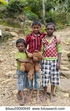 "Three Tamil children with a teddy bear, bei Idalgashina, Sri Lanka, Asia" View Large Photo Image Stock Photo - "Three Tamil children with a teddy bear, bei Idalgashina, Sri Lanka, Asia". Fotosearch