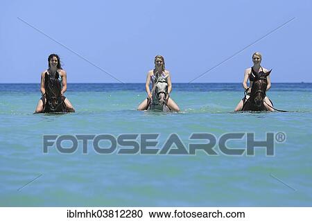 "Three women wearing bikinis riding Barb horses in the sea, riding vacation, Djerba, Tunisia, Africa" View Large Photo Image Stock Image - "Three women wearing bikinis riding Barb horses in the sea, riding vacation, Djerba, Tunisia, Africa". Fotosearch