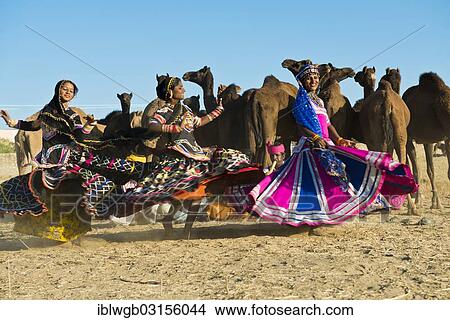 "Three young women in colourful dresses dancing in front of a herd of camels, Pushkar Camel Fair, Pushkar, Rajasthan, India, Asia" View Large Photo Image Picture - "Three young women in colourful dresses dancing in front of a herd of camels, Pushkar Camel Fair, Pushkar, Rajasthan, India, Asia". Fotosearch