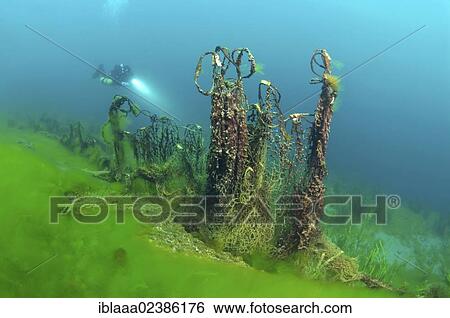"Thrown fishing grid, Lake Baikal, Siberia, Russian Federation, Eurasia" View Large Photo Image Stock Photograph - "Thrown fishing grid, Lake Baikal, Siberia, Russian Federation, Eurasia". Fotosearch