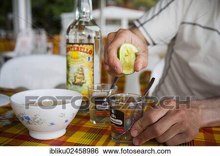 "Ti Punch, national drink with lime, sugar and rum being prepared, Guadeloupe, Caribbean, Lesser Antilles, North America" View Large Photo Image Stock Photograph - "Ti Punch, national drink with lime, sugar and rum being prepared, Guadeloupe, Caribbean, Lesser Antilles, North America". Fotosearch