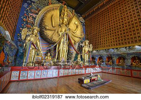 Stock Photo - "Tibetan Buddhism, new large gilded Buddha statue, Avalokiteshvara with a thousand arms, Wutun Si Monastery, Tongren, Repkong, Qinghai, formerly Amdo, Tibet, China, Asia". Fotosearch