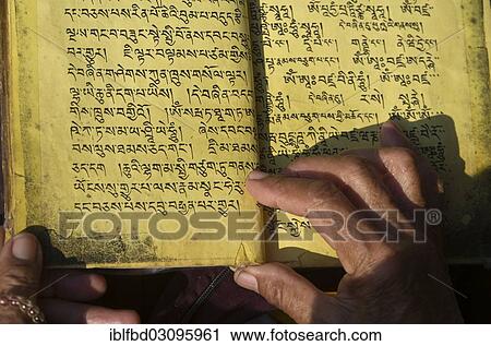 Stock Image - "Tibetean monk reading the holy scriptures in Tibetan language, at the foot of Boudnath Stupa, Kathmandu Valley, Kathmandu, Kathmandu District, Bagmati Zone, Nepal, Asia". Fotosearch