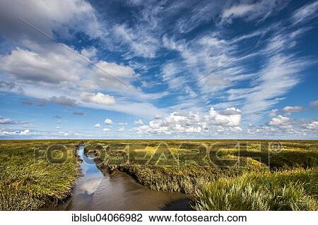"Tidal creek in the salt marshes, Westerhever, Eiderstedt peninsula, North Frisia, Schleswig-Holstein, Germany, Europe" View Large Photo Image Stock Image - "Tidal creek in the salt marshes, Westerhever, Eiderstedt peninsula, North Frisia, Schleswig-Holstein, Germany, Europe". Fotosearch