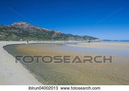 "Tidal river flows into the ocean, Wilsons Promontory National Park, Victoria, Australia, Oceania" View Large Photo Image Stock Image - "Tidal river flows into the ocean, Wilsons Promontory National Park, Victoria, Australia, Oceania". Fotosearch
