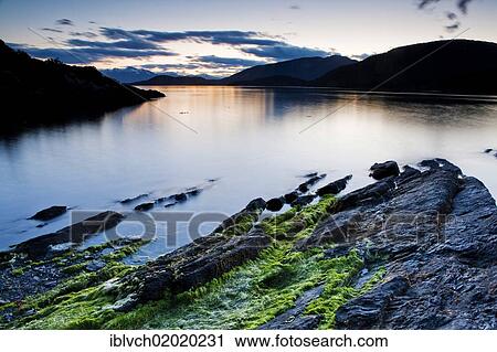 "Tierra del Fuego, Argentina, South America" View Large Photo Image Stock Image - "Tierra del Fuego, Argentina, South America". Fotosearch