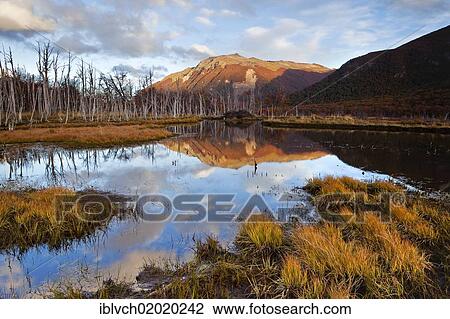 "Tierra del Fuego, Argentina, South America" View Large Photo Image Stock Image - "Tierra del Fuego, Argentina, South America". Fotosearch
