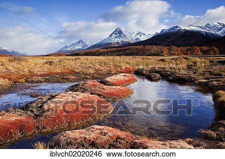 "Tierra del Fuego, Argentina, South America" View Large Photo Image Stock Photograph - "Tierra del Fuego, Argentina, South America". Fotosearch