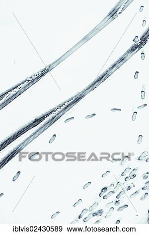 Tire tracks and footprints in snow View Large Photo Image Stock Photo - Tire tracks and footprints in snow. Fotosearch