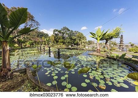 "Tirta Gangga or Tirtagangga water palace, Tirtagangga, Amlapura, Ababi, Bali, Indonesia, Asia" View Large Photo Image Stock Photograph - "Tirta Gangga or Tirtagangga water palace, Tirtagangga, Amlapura, Ababi, Bali, Indonesia, Asia". Fotosearch