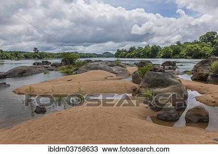 "Tiwai Island Wildlife Sanctuary on an island in the Moa River, Tiwai Island, Southern Province, Sierra Leone, Africa" View Large Photo Image Stock Image - "Tiwai Island Wildlife Sanctuary on an island in the Moa River, Tiwai Island, Southern Province, Sierra Leone, Africa". Fotosearch