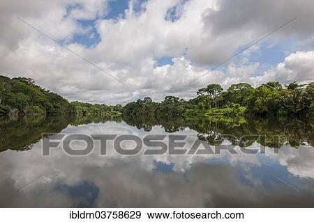 Stock Photo - "Tiwai Island Wildlife Sanctuary on an island in the Moa River, Tiwai Island, Southern Province, Sierra Leone, Africa". Fotosearch