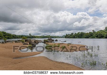 "Tiwai Island Wildlife Sanctuary on an island in the Moa River, Tiwai Island, Southern Province, Sierra Leone, Africa" View Large Photo Image Stock Photo - "Tiwai Island Wildlife Sanctuary on an island in the Moa River, Tiwai Island, Southern Province, Sierra Leone, Africa". Fotosearch