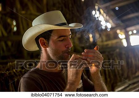 "Tobacco farmer Luis Manne Alvares Rodrigues lighting a Havana cigar, tobacco farm, Vinales Valley, Vinales, Pinar del Rio Province, Cuba, North America" View Large Photo Image Picture - "Tobacco farmer Luis Manne Alvares Rodrigues lighting a Havana cigar, tobacco farm, Vinales Valley, Vinales, Pinar del Rio Province, Cuba, North America". Fotosearch
