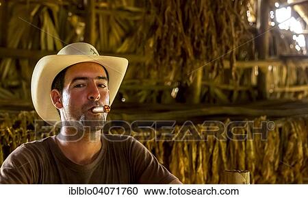 Stock Image - "Tobacco farmer Luis Manne Alvares Rodrigues smoking a Havana cigar, tobacco farm, Vinales Valley, Vinales, Pinar del Rio Province, Cuba, North America". Fotosearch