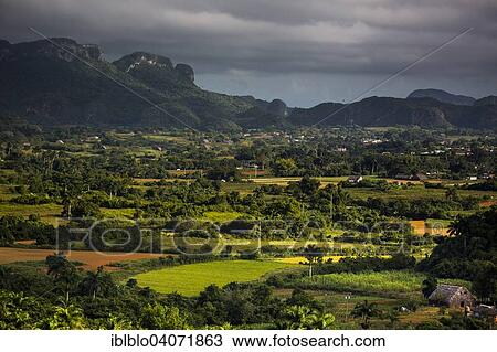 "Tobacco fields and the Mogotes karst mountains, Valle de Vinales, Vinales, Pinar del Rio Province, Cuba, North America" View Large Photo Image Stock Image - "Tobacco fields and the Mogotes karst mountains, Valle de Vinales, Vinales, Pinar del Rio Province, Cuba, North America". Fotosearch