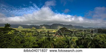 "Tobacco fields and the Mogotes karst mountains, Valle de Vinales, Vinales, Pinar del Rio Province, Cuba, North America" View Large Photo Image Stock Photo - "Tobacco fields and the Mogotes karst mountains, Valle de Vinales, Vinales, Pinar del Rio Province, Cuba, North America". Fotosearch