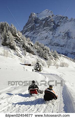 Stock Photo - "Toboggans going down alpine slopes, Wetterhorn Mountain at back, Switzerland, Europe". Fotosearch