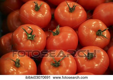 "Tomatoes at a stand at Fruit Logistica, Berlin, Berlin, Berlin, Germany, Europe" View Large Photo Image Stock Image - "Tomatoes at a stand at Fruit Logistica, Berlin, Berlin, Berlin, Germany, Europe". Fotosearch