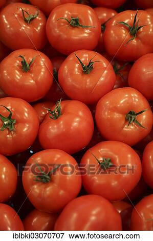 "Tomatoes at a stand at Fruit Logistica, Berlin, Berlin, Berlin, Germany, Europe" View Large Photo Image Stock Photo - "Tomatoes at a stand at Fruit Logistica, Berlin, Berlin, Berlin, Germany, Europe". Fotosearch