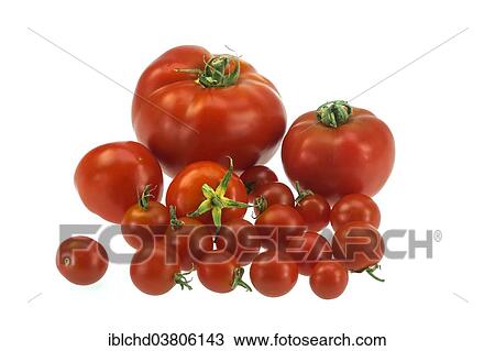 Tomatoes View Large Photo Image Stock Image - Tomatoes. Fotosearch