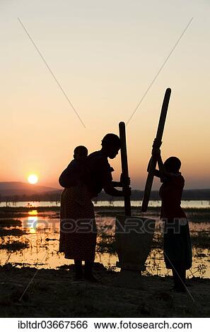 "Tongan women in pounding grain on the shore of Lake Kariba, at sunset, Zambia, Africa" View Large Photo Image Stock Photograph - "Tongan women in pounding grain on the shore of Lake Kariba, at sunset, Zambia, Africa". Fotosearch
