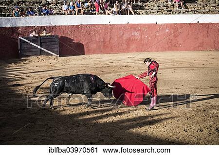 "Torero and bull, bullfight, El Barco de Avila, Avila, Spain, Europe" View Large Photo Image Stock Image - "Torero and bull, bullfight, El Barco de Avila, Avila, Spain, Europe". Fotosearch