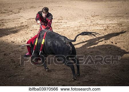 "Torero shortly before the death blow, bullfighting, El Barco de Avila, Avila, Spain, Europe" View Large Photo Image Stock Photograph - "Torero shortly before the death blow, bullfighting, El Barco de Avila, Avila, Spain, Europe". Fotosearch