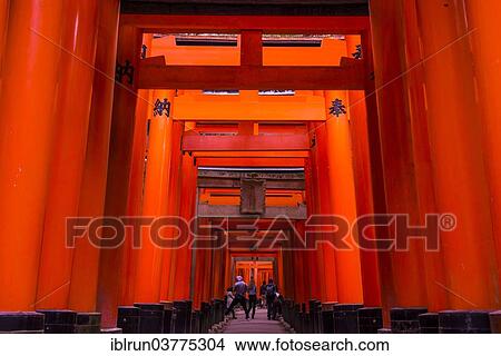 "Torii or gates leading to the inner shrine, Fushimi Inari-taisha shrine, Kyoto, Japan, Asia" View Large Photo Image Picture - "Torii or gates leading to the inner shrine, Fushimi Inari-taisha shrine, Kyoto, Japan, Asia". Fotosearch