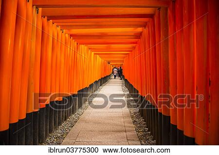 "Torii or gates leading to the inner shrine, Fushimi Inari-taisha shrine, Kyoto, Japan, Asia" View Large Photo Image Stock Image - "Torii or gates leading to the inner shrine, Fushimi Inari-taisha shrine, Kyoto, Japan, Asia". Fotosearch