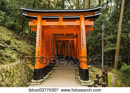 "Torii or gates leading to the inner shrine, Fushimi Inari-taisha shrine, Kyoto, Japan, Asia" View Large Photo Image Stock Photo - "Torii or gates leading to the inner shrine, Fushimi Inari-taisha shrine, Kyoto, Japan, Asia". Fotosearch