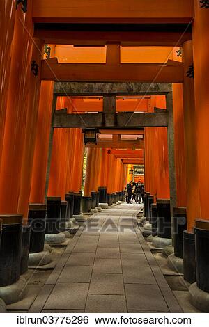 "Torii or gates leading to the inner shrine, Fushimi Inari-taisha shrine, Kyoto, Japan, Asia" View Large Photo Image Stock Photograph - "Torii or gates leading to the inner shrine, Fushimi Inari-taisha shrine, Kyoto, Japan, Asia". Fotosearch